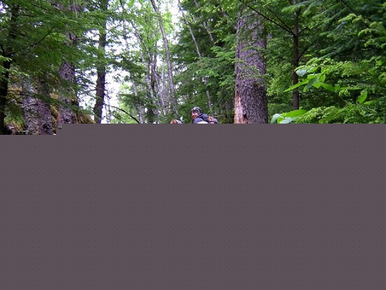 hikers